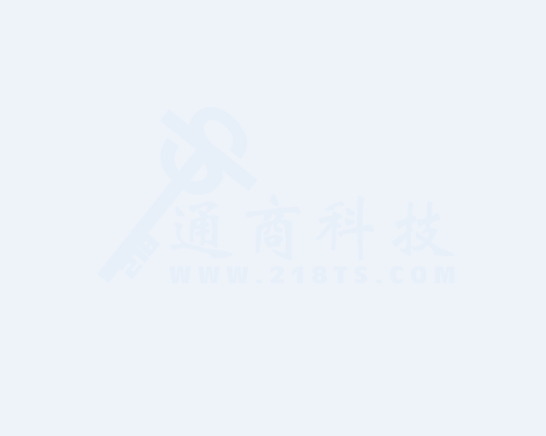 遠程電（diàn）表