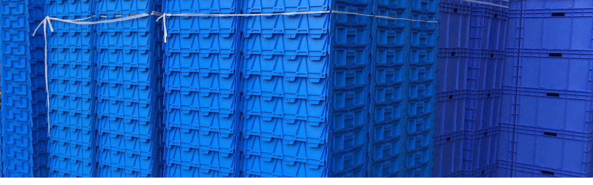 北京黄瓜视频在线观看